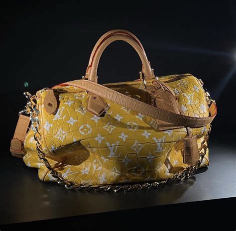 speedy louis vuitton vip|louis vuitton speedy price.